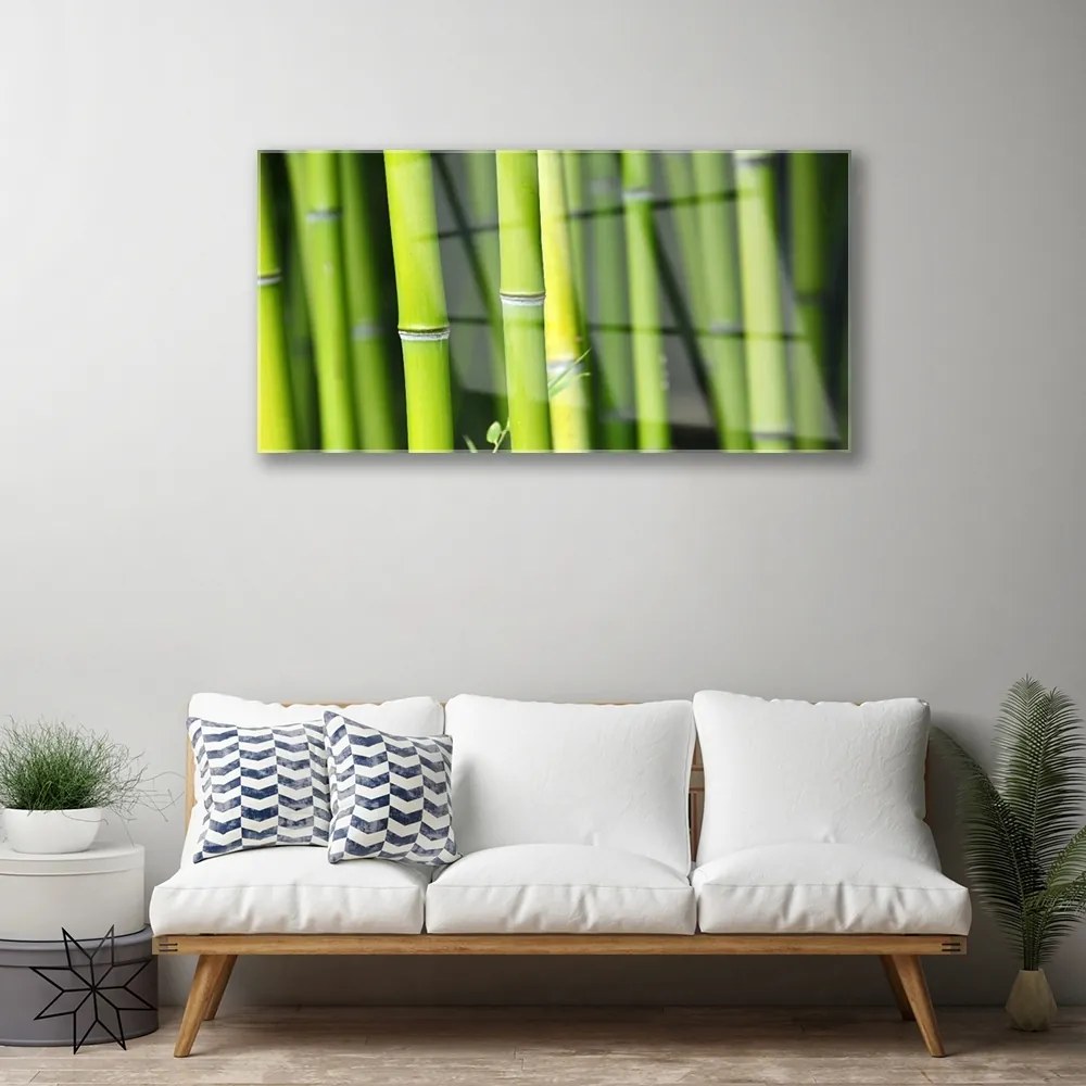 Obraz na skle Bambus príroda rastlina 125x50 cm