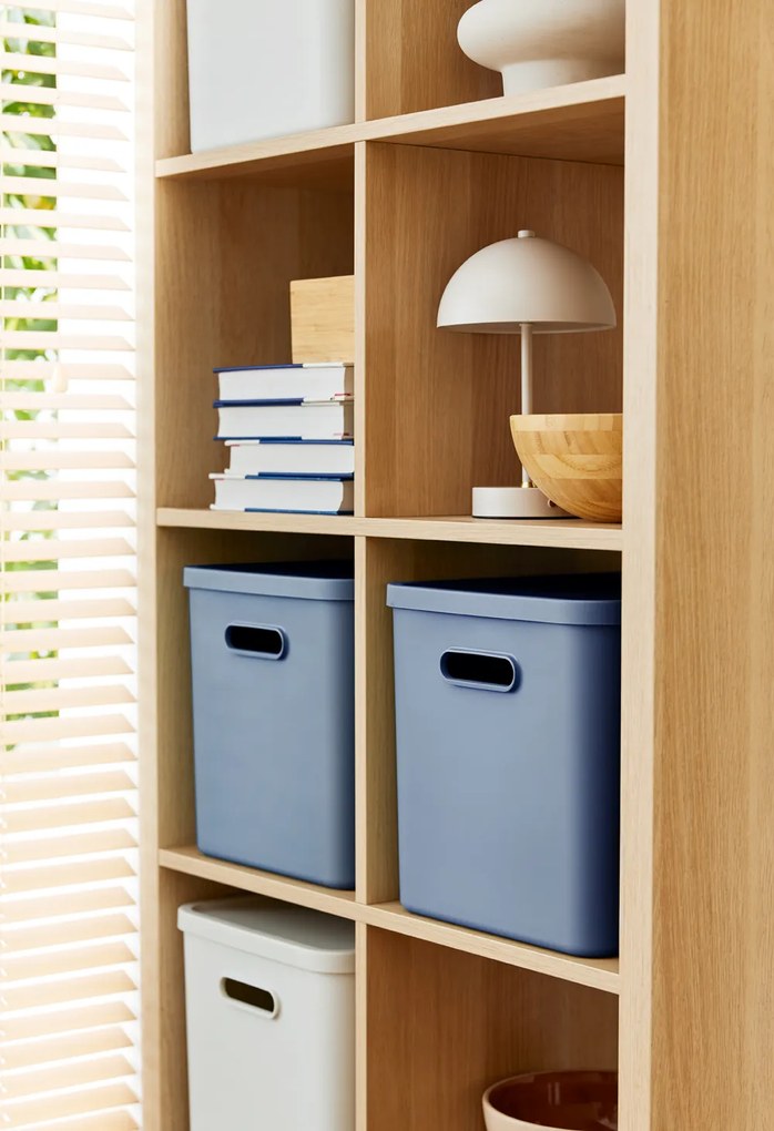 Rotho Úložný box, rovný s vekom, 27l, modrá ALBU LIGHT, 37x29x30