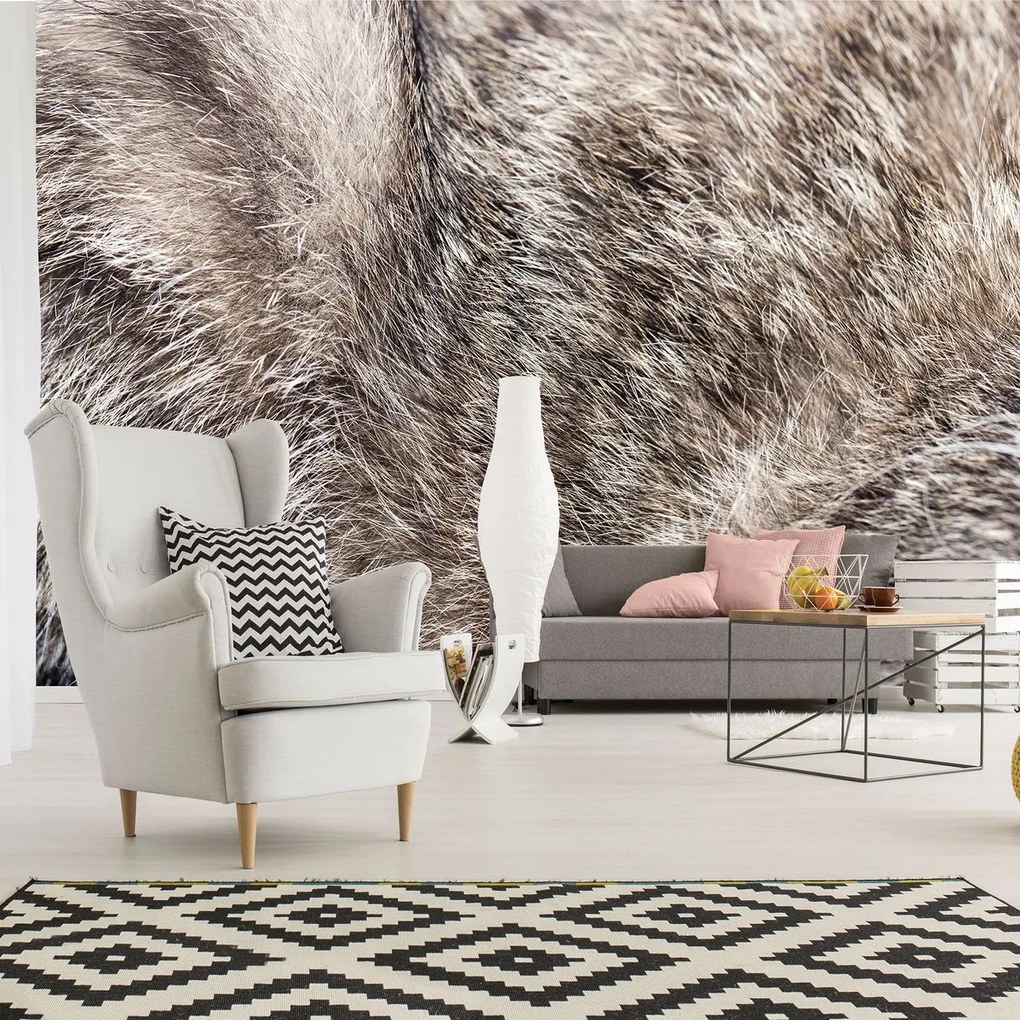 Fototapeta - Mačacia srsť (254x184 cm)