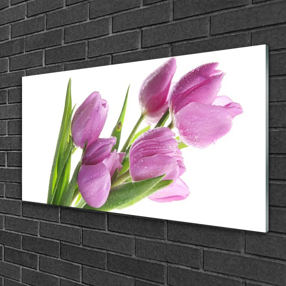 Skleneny obraz Tulipány kvety rastlina 120x60 cm