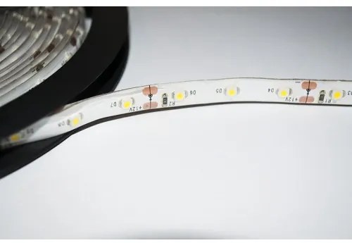 ECOLIGHT LED pásik - SMD 2835 - 5m - 60LED/m - 4,8 W/m - zelený - IP65 - s konektorom