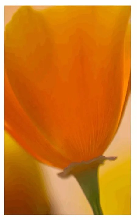 Plagát s paspartou kytica kvetov v detailnom zábere - 40x60 white