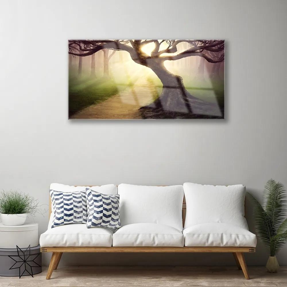 Skleneny obraz Strom lúče slnko 140x70 cm