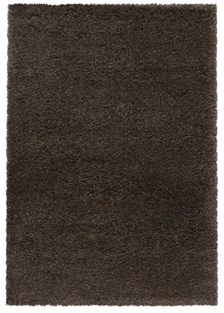 Ayyildiz koberce Kusový koberec Fluffy Shaggy 3500 brown - 80x150 cm