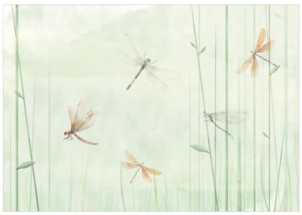 Artgeist Fototapeta - Dragonflies in the Meadow Veľkosť: 98x70, Verzia: Samolepiaca