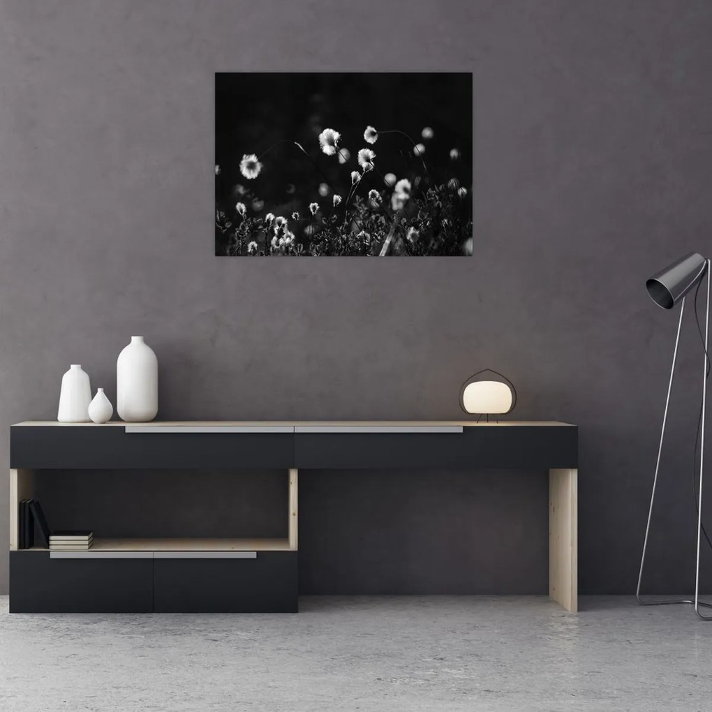 Sklenený obraz - Lúka s cottongrass N⁰1 (70x50 cm)