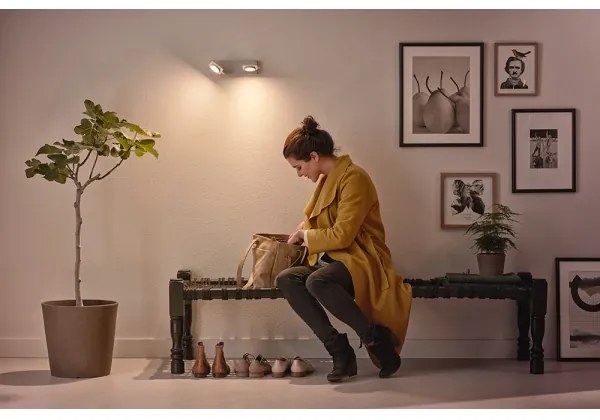 Philips 53192/48/P0 - LED Bodové svietidlo MILLENNIUM 2xLED/4,5W/230V