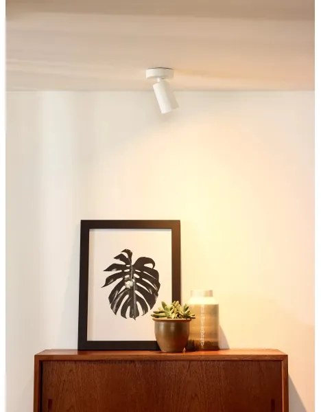 Lucide 23954/06/31 - LED Stmievateľné bodové svietidlo XYRUS 1xGU10/5W/230V CRI 95