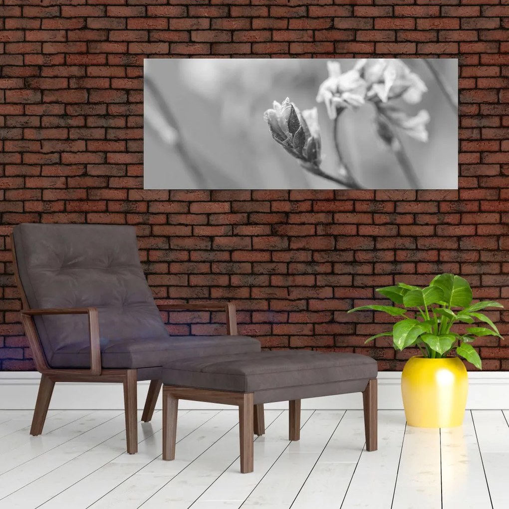 Obraz - Rozkvitnutý kvet (120x50 cm)