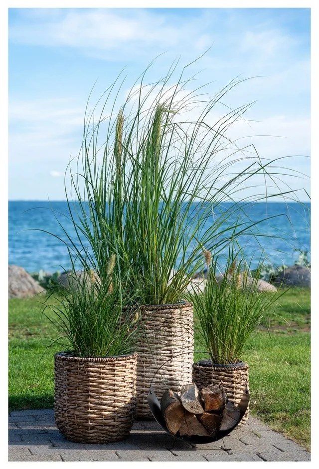 Kvetináče z vodného hyacintu v súprave 3 ks ø 49 cm Hanoi – House Nordic