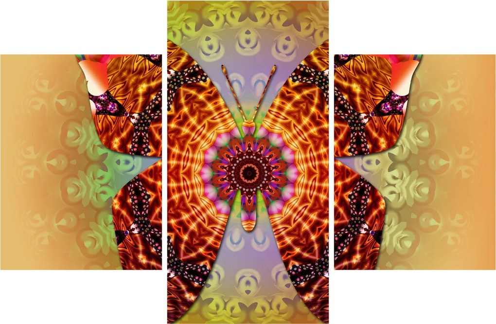 Obraz - Etno motýľ (90x60 cm)