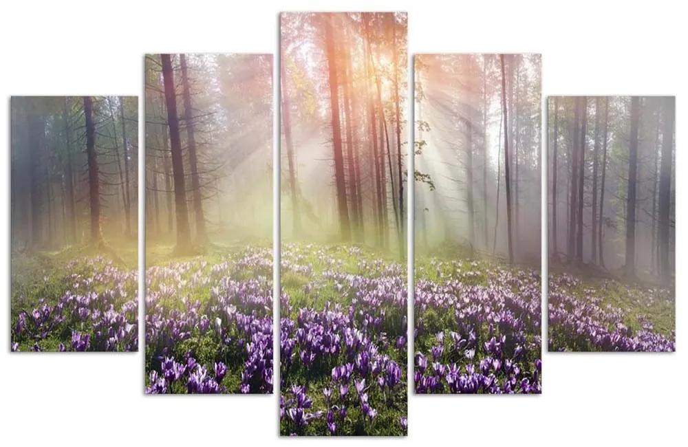 Obraz na plátně pětidílný Mlžný les Květiny - 200x100 cm