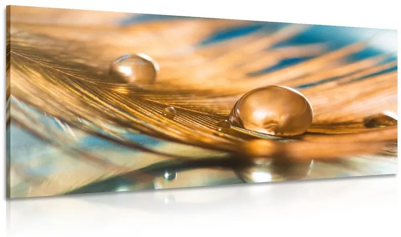 Obraz kvapka vody na zlatom pierku Varianta: 100x50