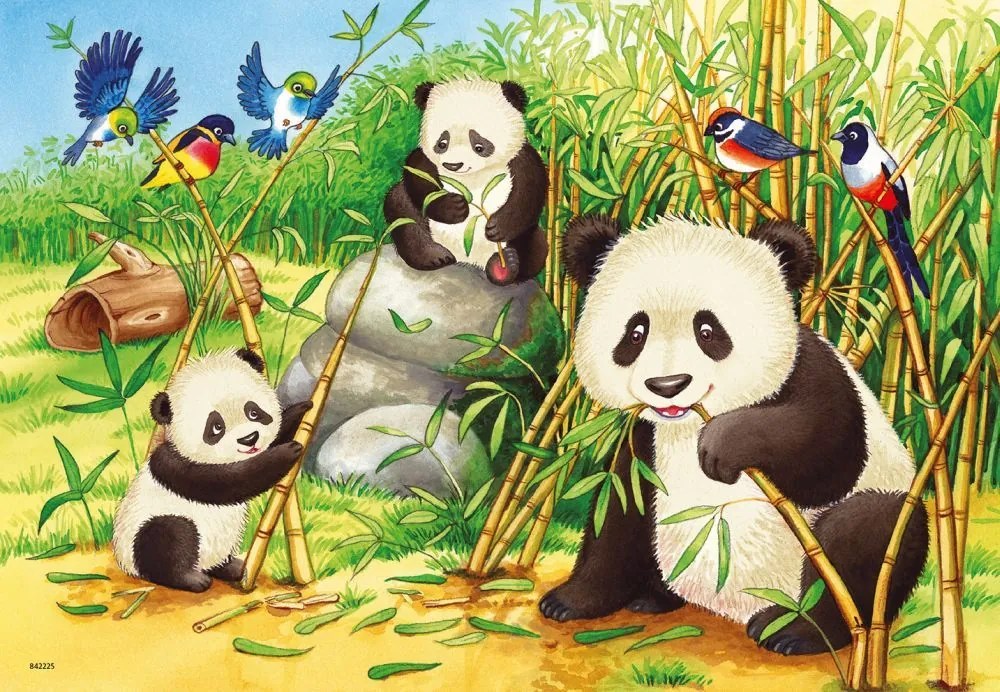 Ravensburger Koaly a pandy 2 x 24 kusov