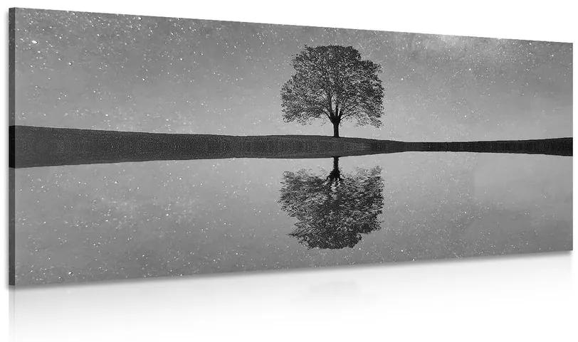 Obraz hviezdna obloha nad osamelým stromom v čiernobielom prevedení Varianta: 100x50