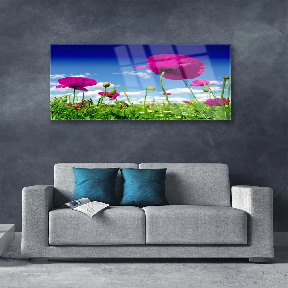 Obraz plexi Lúka kvety nebo príroda 125x50 cm