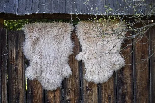 Ovčia kožušina slabo hnedá