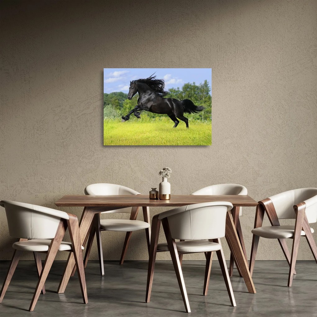 Sklenený obraz - Kôň s vzdušnou hrivou (70x50 cm)