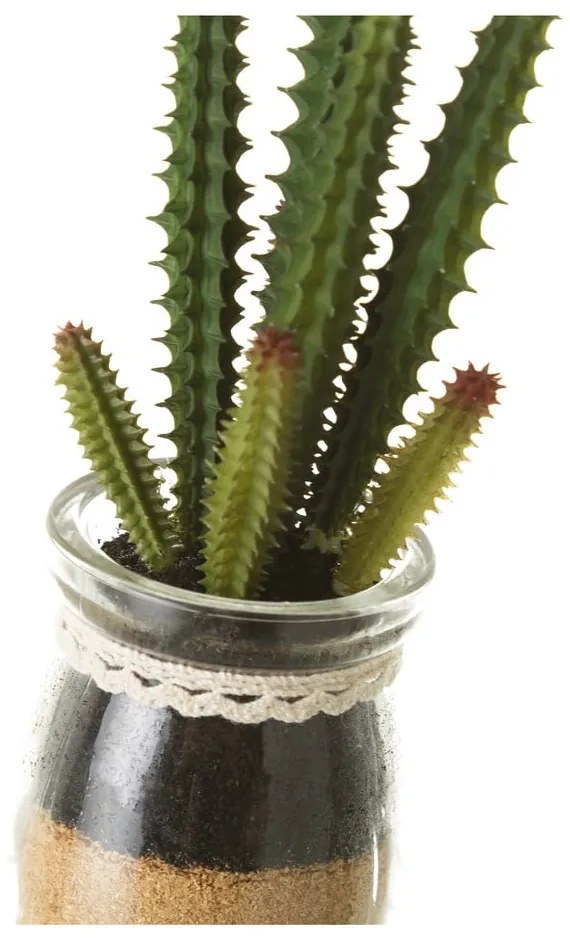 Umelé rastliny v súprave 4 ks (výška 18 cm) Cactus – Casa Selección