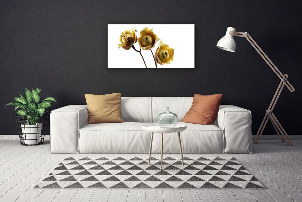 Obraz na plátne Kvety rastlina 120x60 cm