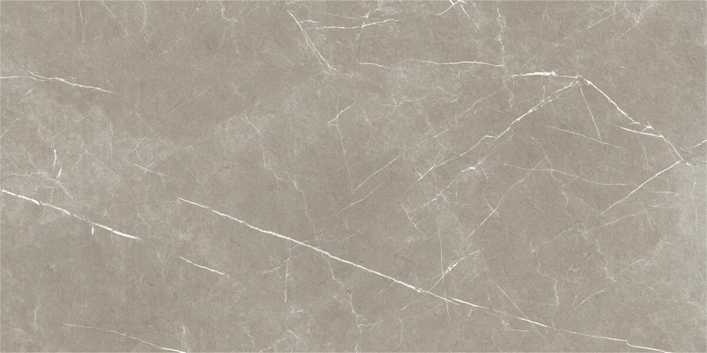 Dlažba Eternal Taupe Natural 60x120 R