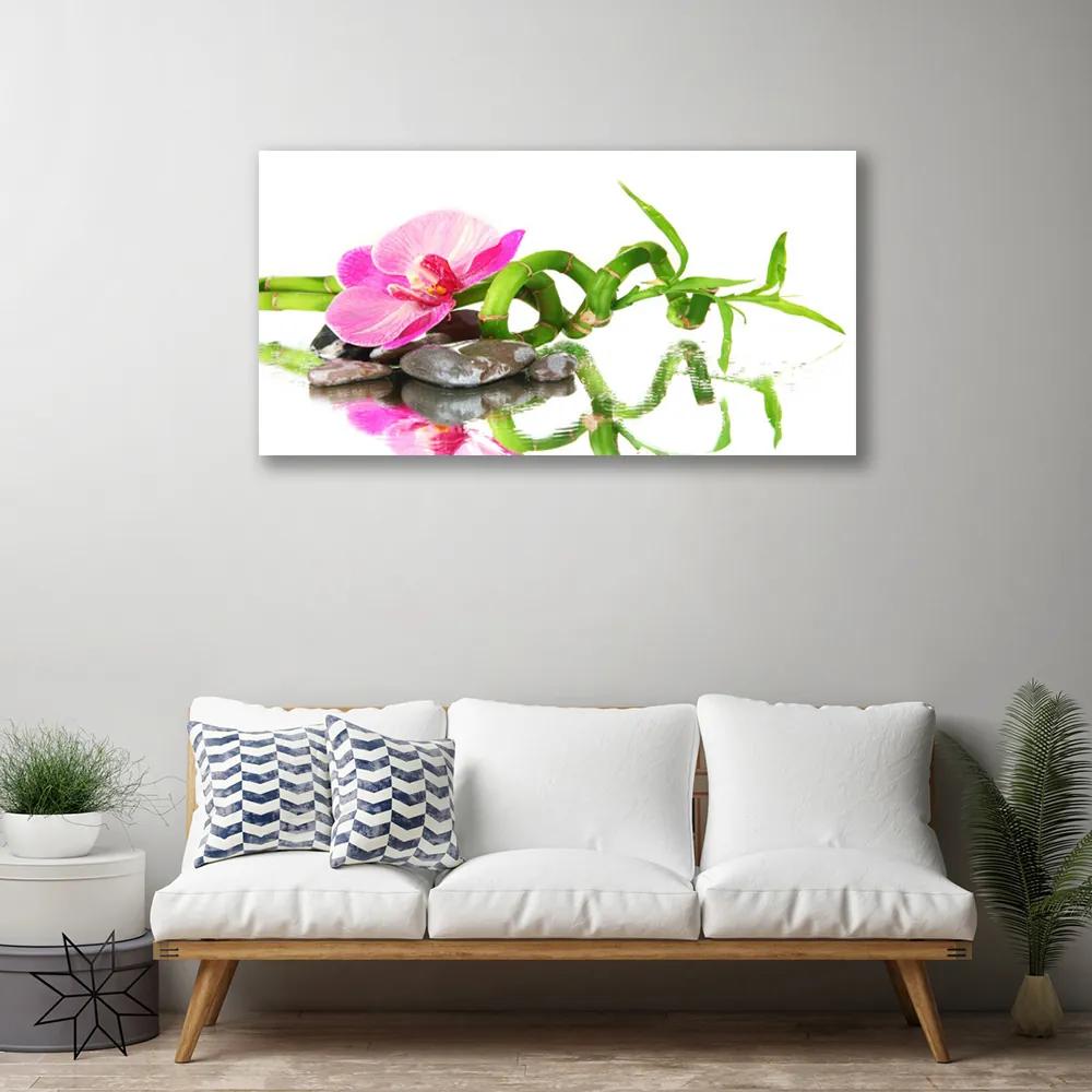 Obraz Canvas Bambus kvet kamene umenie 120x60 cm