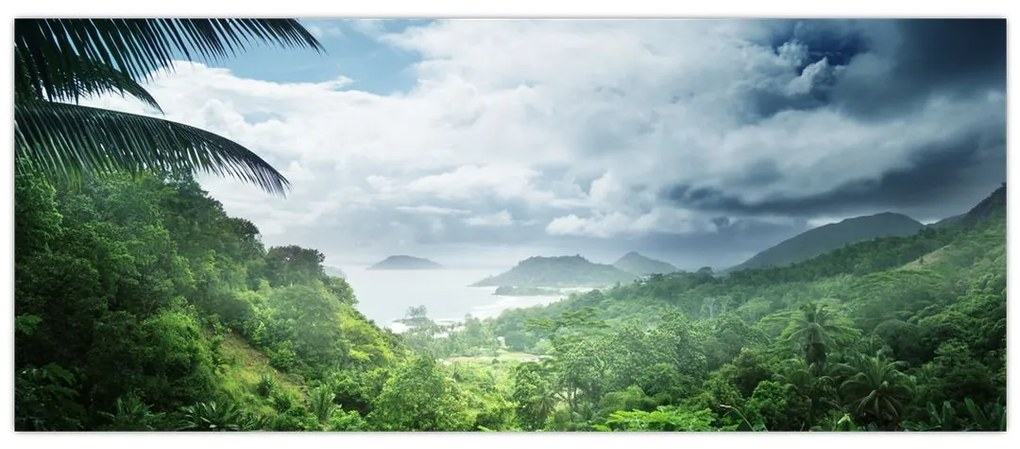 Obraz - Seychelská jungle (120x50 cm)