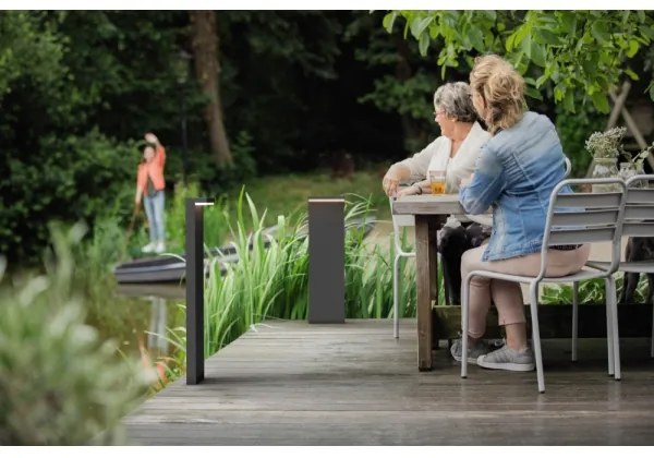 Philips 16486/93/P0 - LED Vonkajšia lampa MYGARDEN BUSTAN 2xLED/4,5W/230V IP44