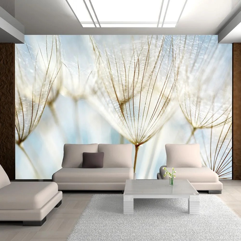 Fototapeta - Abstract dandelion flower background 200x154
