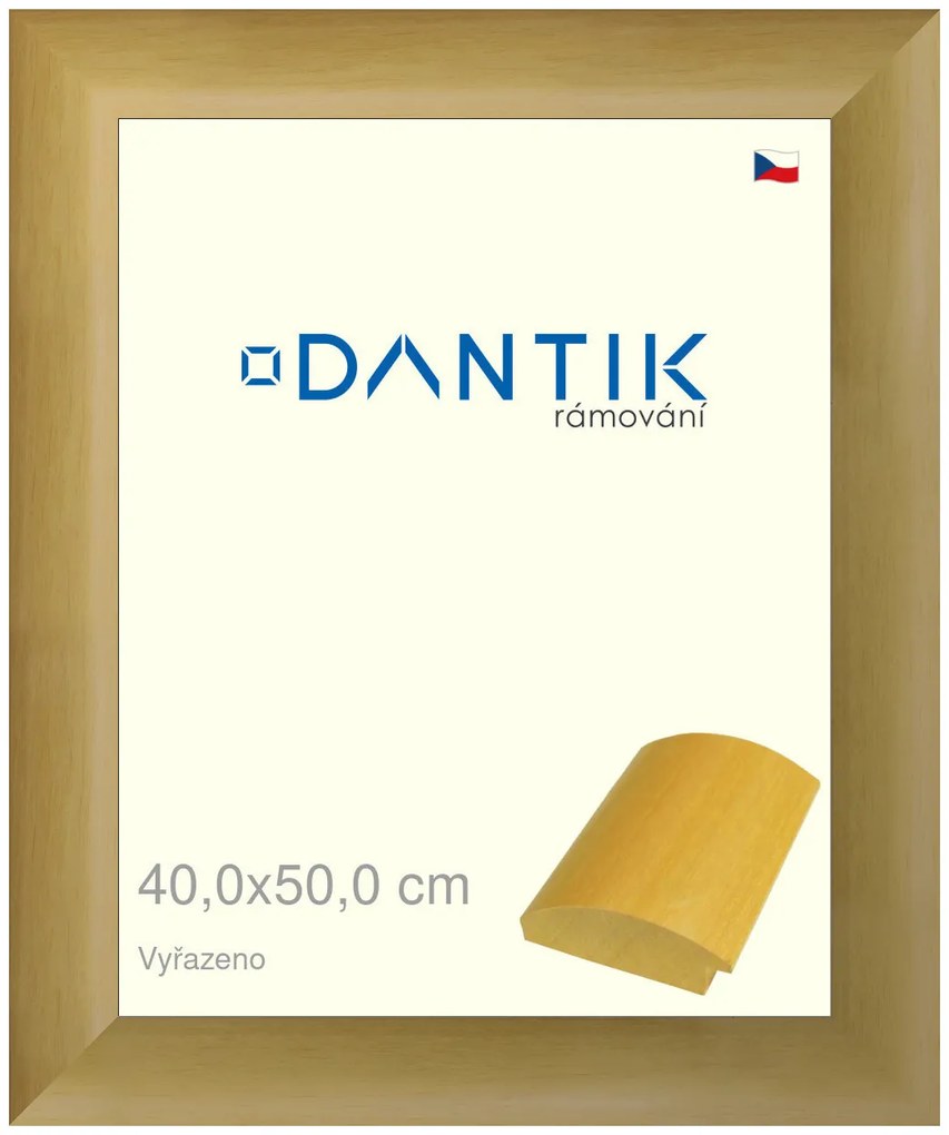 DANTIK rám na obraz 40x50 | Vyřazeno | RENÉ přírodní (Plexi Čiré)