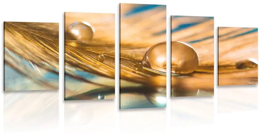 5-dielny obraz kvapka vody na zlatom pierku