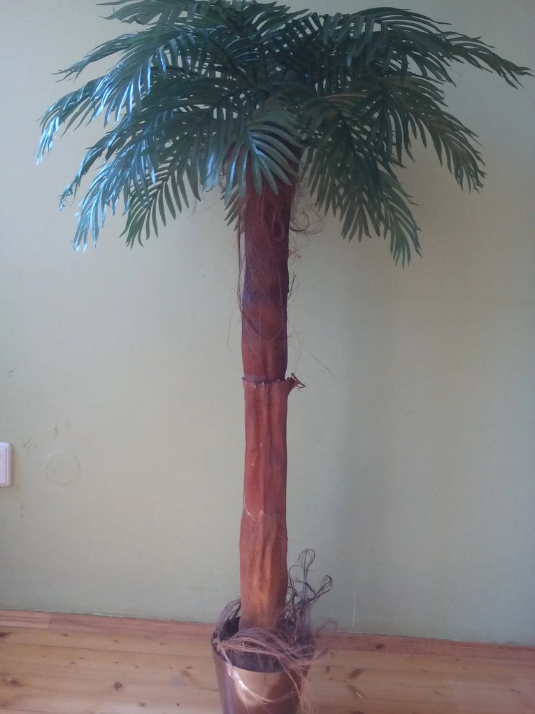 Palma areca 130 cm