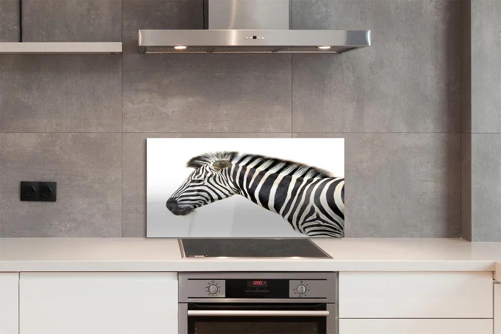 Nástenný panel  zebra 125x50 cm