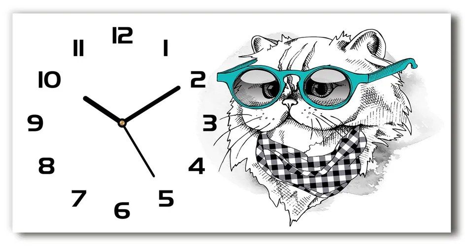 Vodorovné Sklenené hodiny na stenu Mačka v okuliaroch pl_zsp_60x30_f_121703839