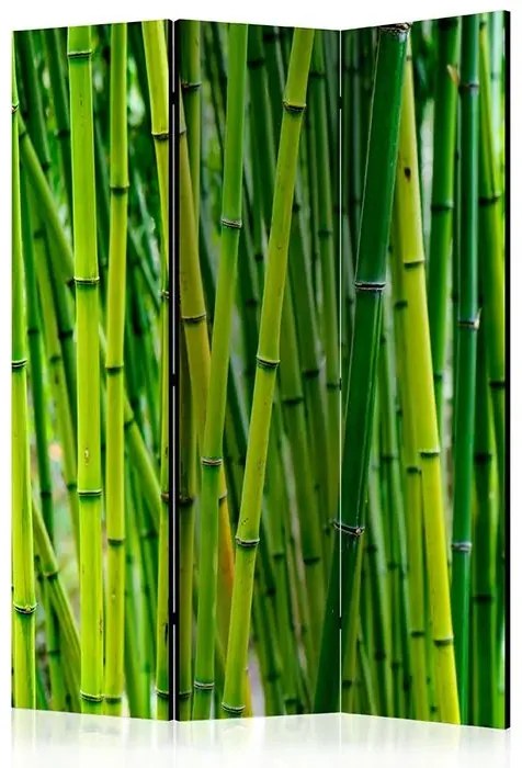 Paraván - Bamboo Forest [Room Dividers] Veľkosť: 135x172, Verzia: Obojstranný