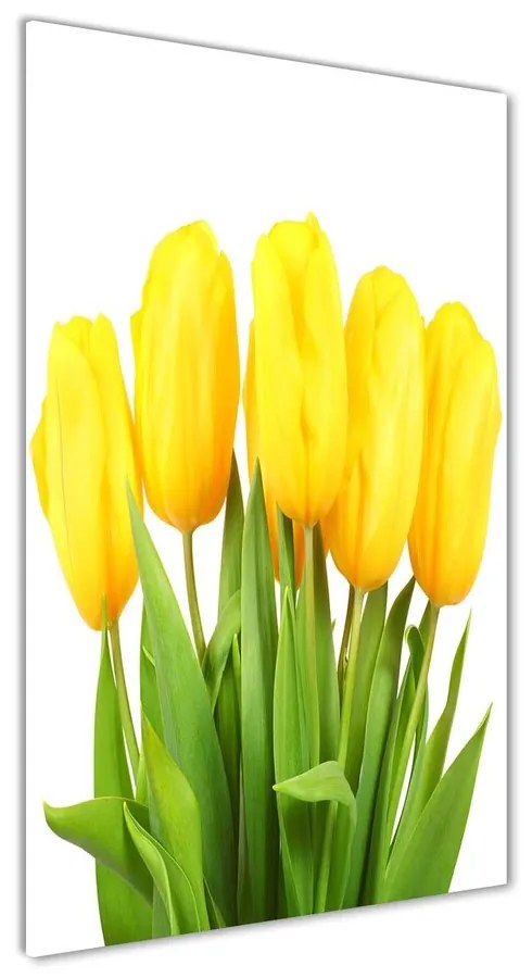 Foto obraz akryl do obývačky Žlté tulipány pl-oa-70x140-f-50296445