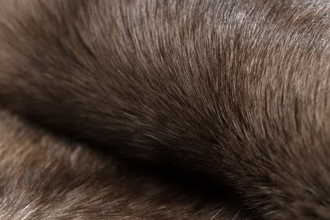 Koberec RENIFER POK014 hnedý / sivý