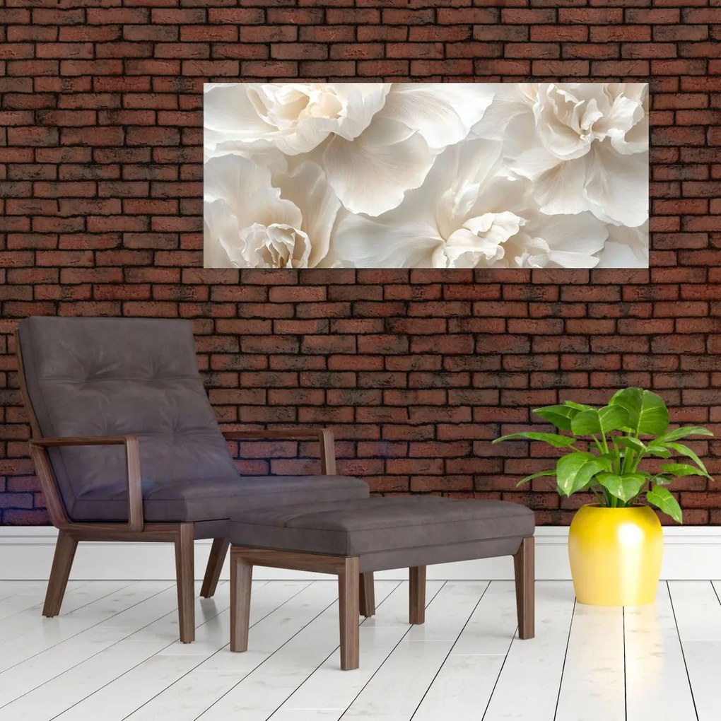 Obraz - Jemné pivonky (120x50 cm)