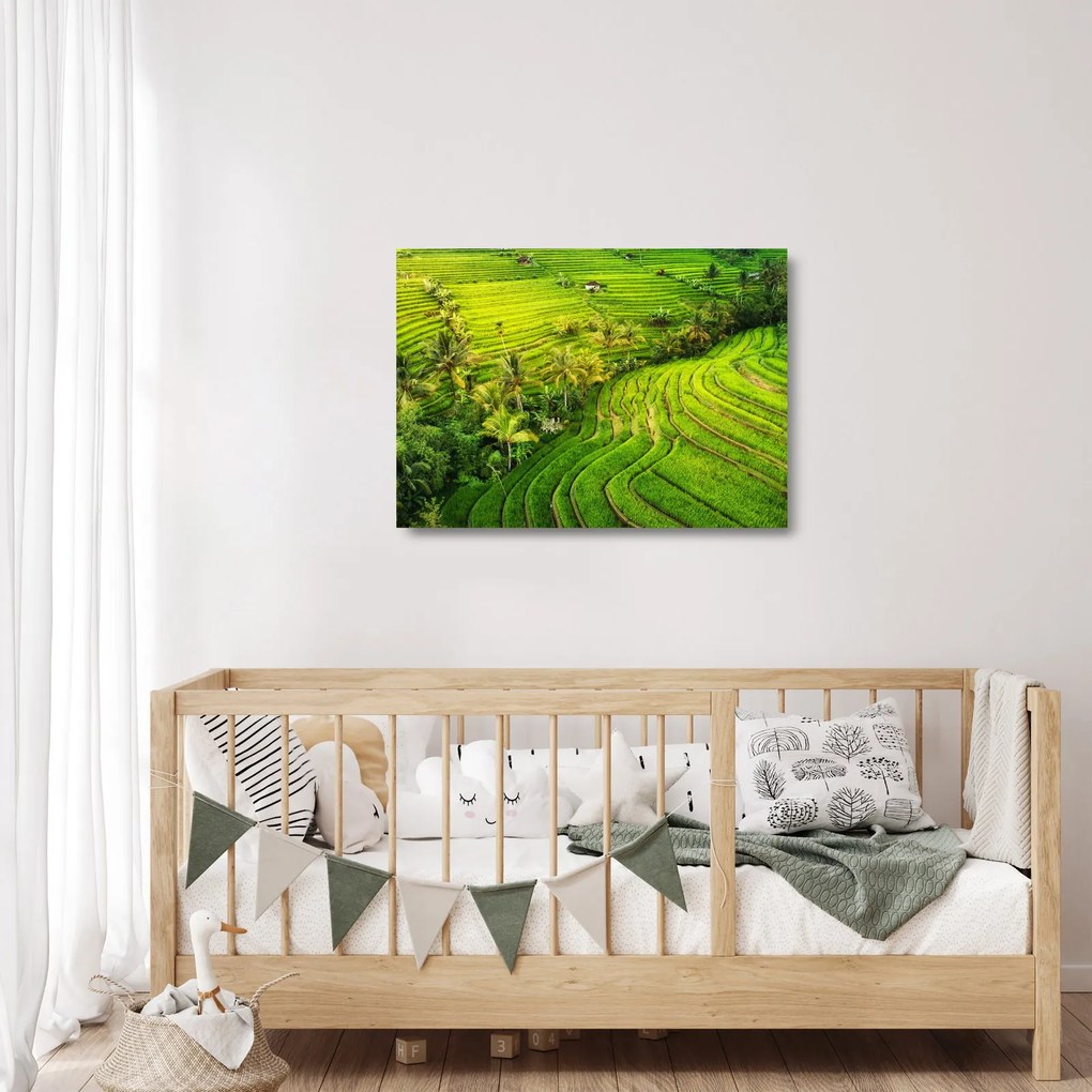 Sklenený obraz - Ryžové terasy (70x50 cm)