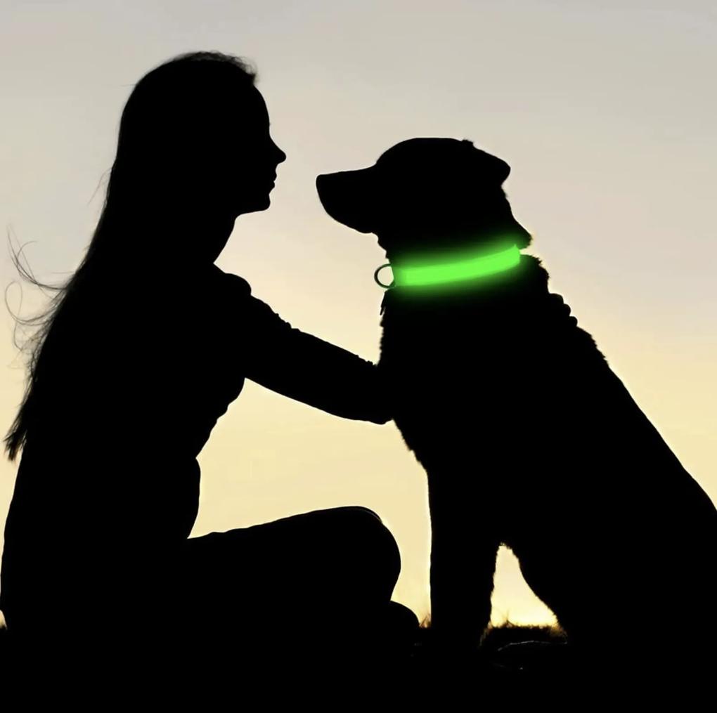 Zelený LED obojok pre psa/mačku DUKE - rôzne veľkosti Veľkosť: L
