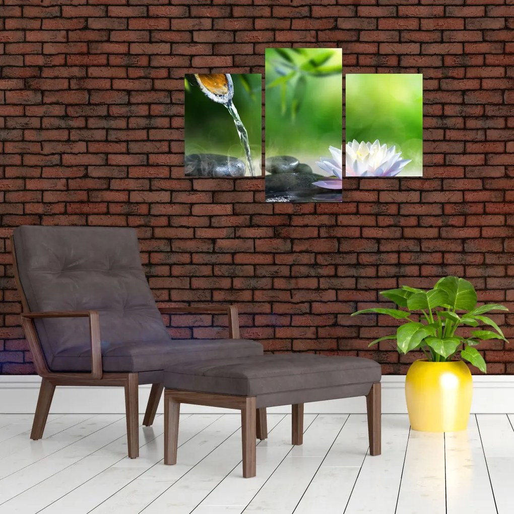 Obraz - Lotus (90x60 cm)