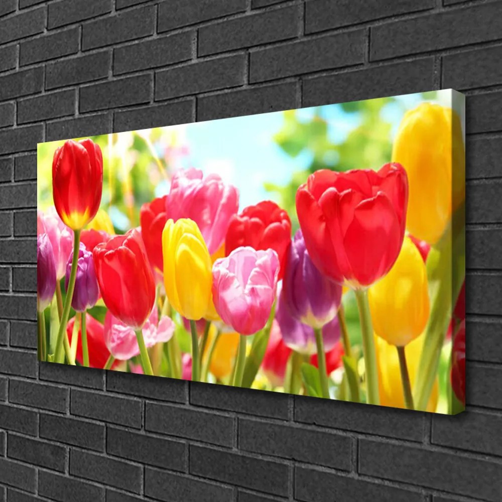 Obraz Canvas Tulipány kvety rastlina 100x50 cm