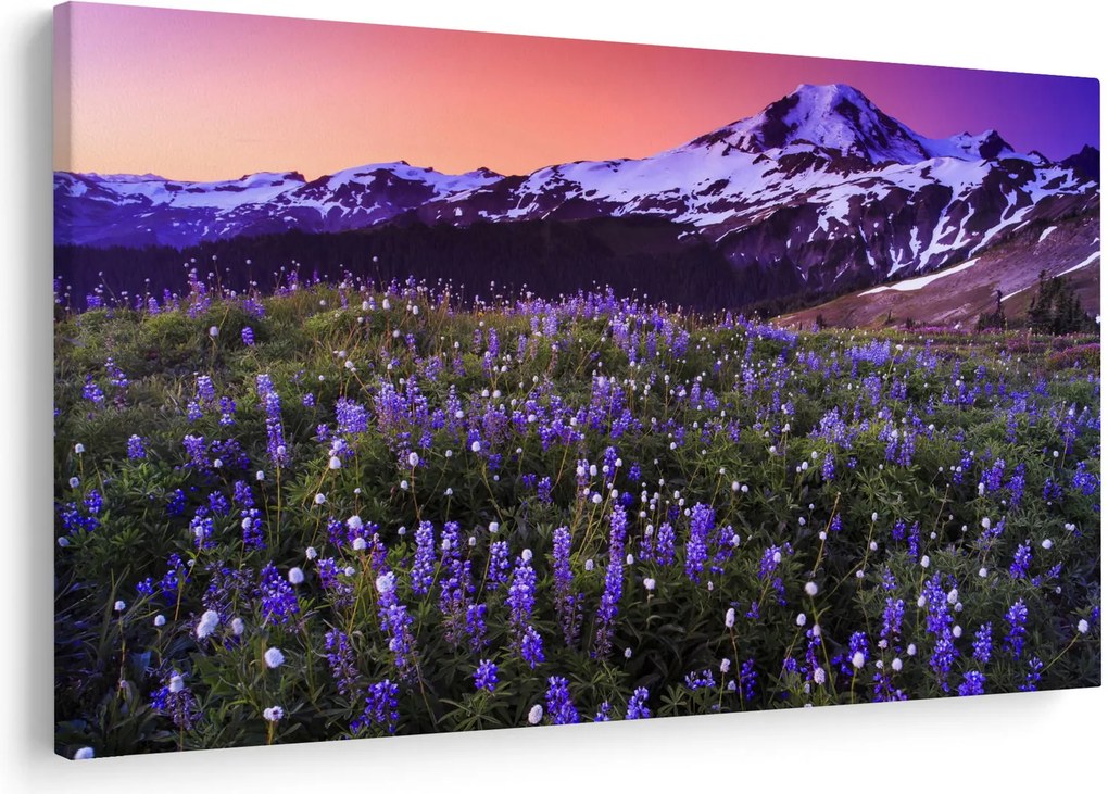 Obraz - Sopka a kvety (90x60 cm)