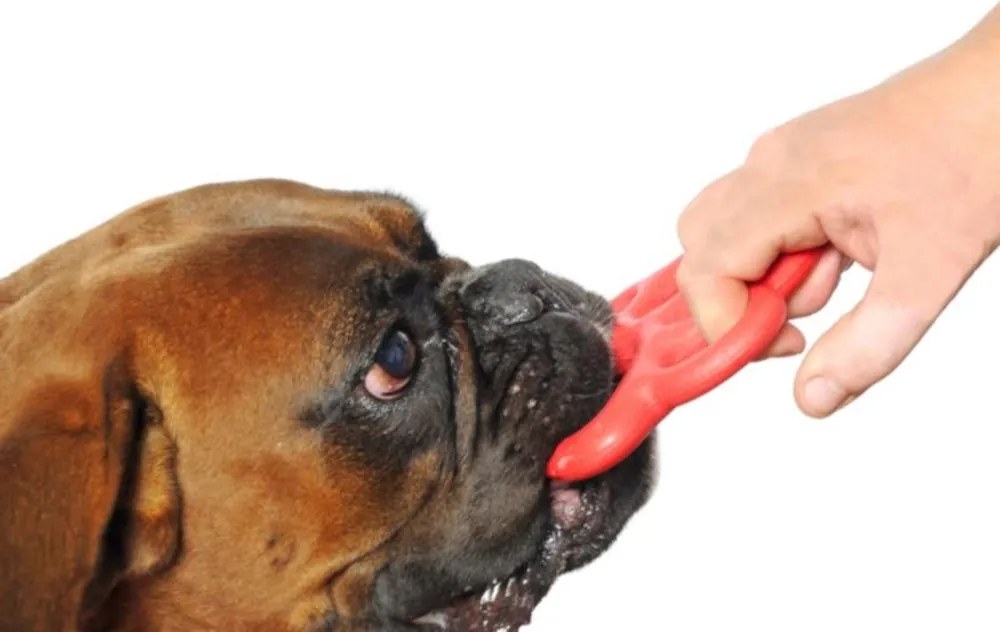 BAMA Hračka pre psov ORMA MINI Barva: oranžová