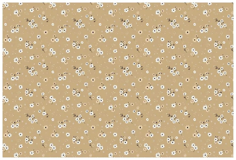 Samolepiaca tapeta kvetinové pole na béžovom pozadí