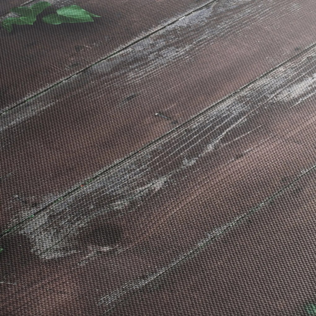 Obraz - Brečtan (120x50 cm)