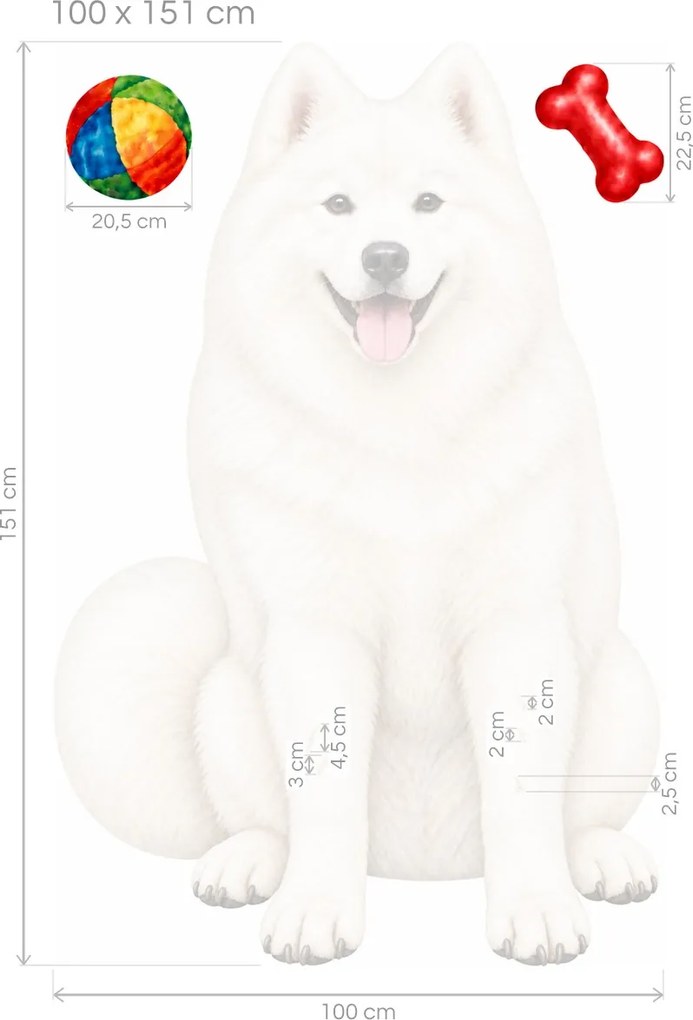 Samojed s loptičkou a kosťou realistické textilné nálepky na stenu pre milovníkov samojedov hárok 30 x 46 cm