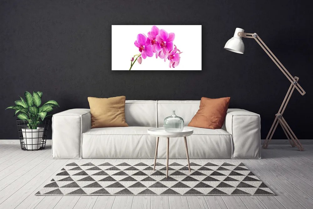 Obraz Canvas Vstavač kvet orchidea 140x70 cm