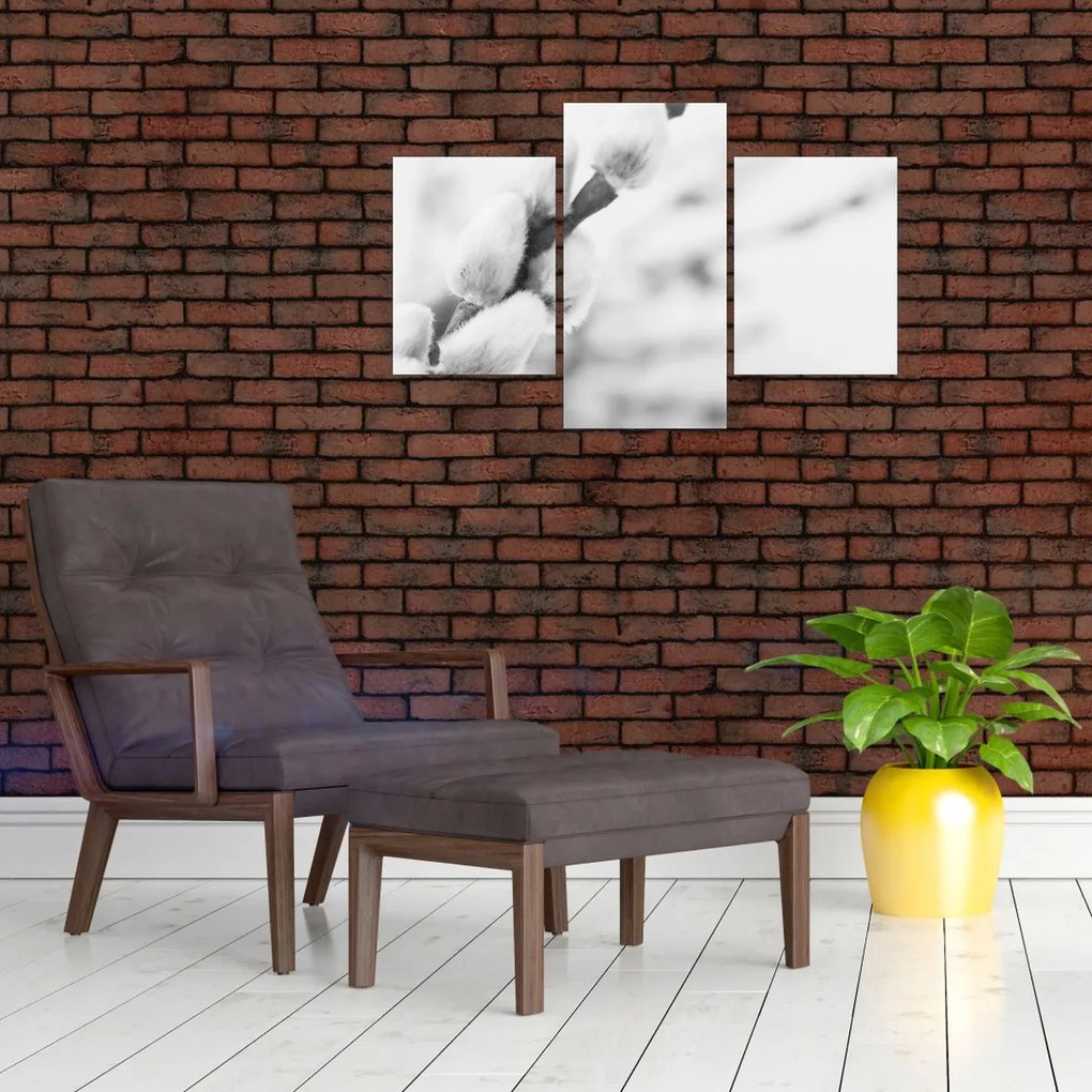 Obraz - Začiatok jari (90x60 cm)