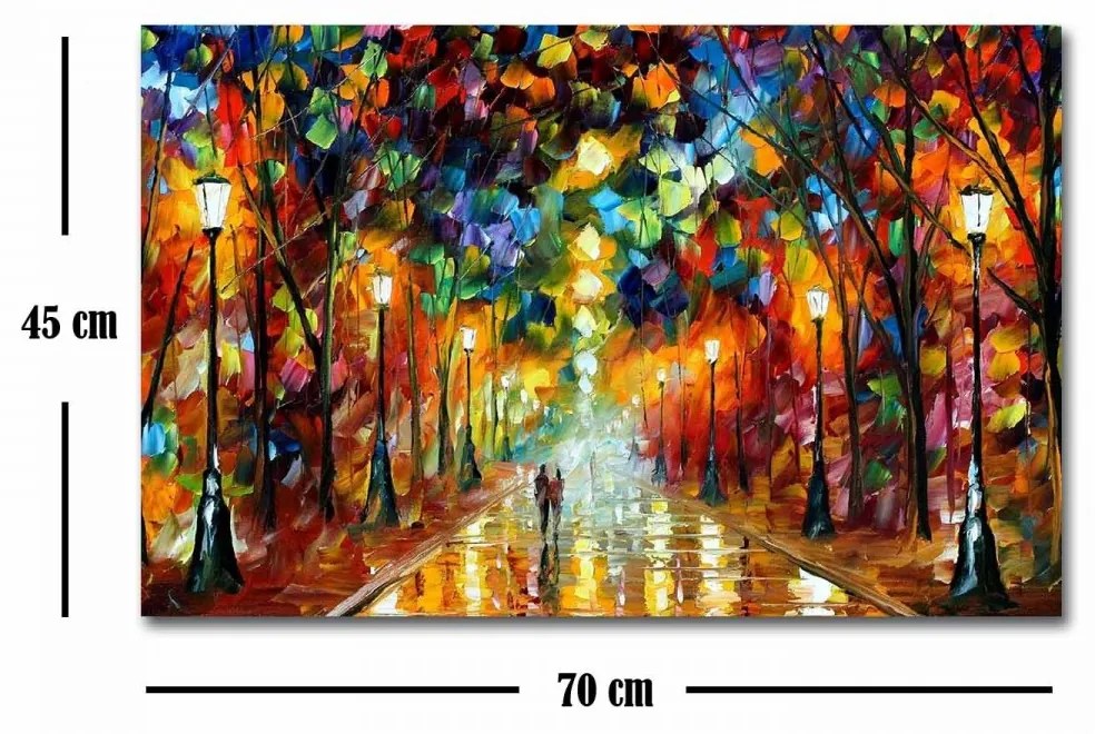 Reprodukcia obrazu Leonid Afremov 70x45 cm